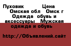 Пуховик adidas › Цена ­ 3 100 - Омская обл., Омск г. Одежда, обувь и аксессуары » Мужская одежда и обувь   